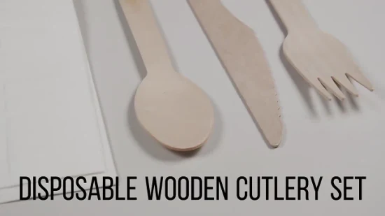 Cucchiaio forchetta coltello posate usa e getta personalizzato in fabbrica ecologico