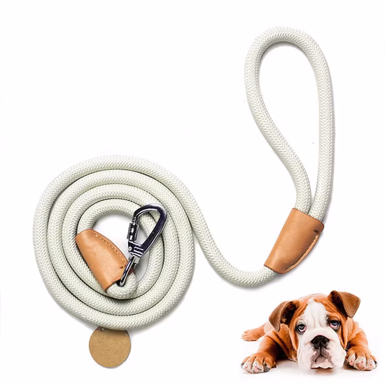 Guinzaglio per cani Guinzaglio per cani Guinzaglio per cani Corda per arrampicata in montagna Guinzaglio per cani rinforzato con connessione su misura in pelle Chiusura in argento resistente